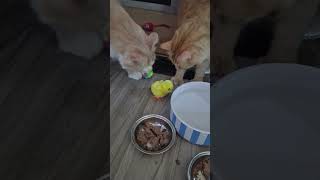 Hoppy Eastersubscribe