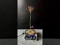 Tesla coil + plant ep12