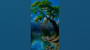 القارئ احمد الخضر ((قال ربي اشرح لي صدري))  سورة طه #قرآن كريم