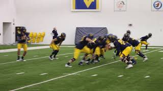 BlueGoldNews.com: Defense Run/Pass Fits 3/24/18