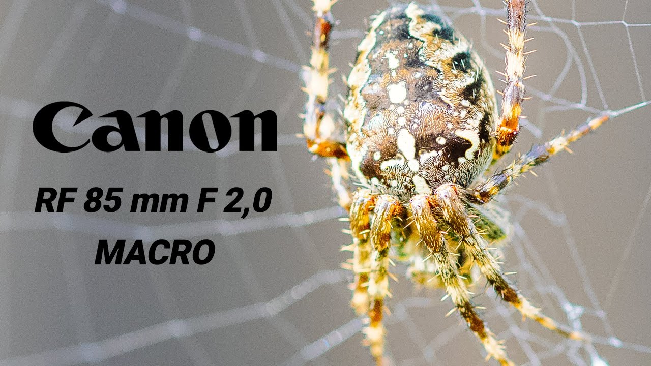 Canon RF 85mm f 2 macro - YouTube