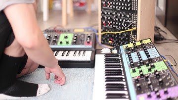 Moog Matriarch demo, T.V.O.D. by the Normal (+Moog Grandmother/DFAM)