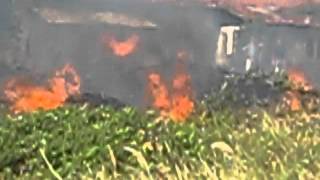 Pozar Kod Novog Groblja U Boru 2