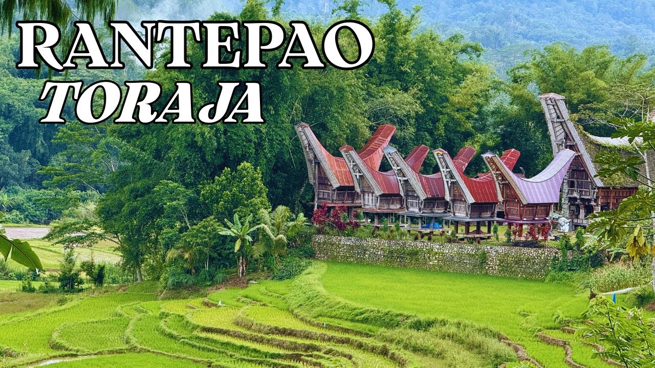 SULAWESI - Chez les Toraja : comprendre la mort autrement
