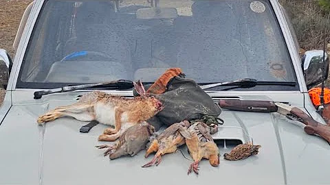 KKTC keklik/tavşan avı / cyprus patridge and hare hunting 2024/2025