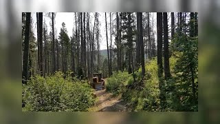 Trail 467 fire grows, new fire spotted in Scapegoat Wilderness