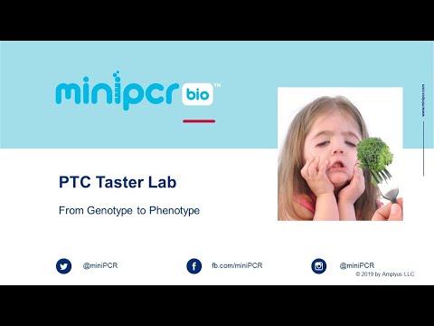 miniPCR bio PTC Taster Lab - Live demo of PCR, restriction digest and gel electrophoresis