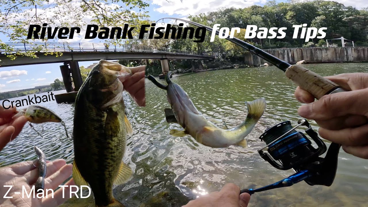 River Bank Fishing for Bass Tips ｜ZMan TRD&Crankbait Bass Manager