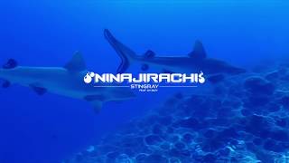 Ninajirachi - Stingray (feat. Oh Boy)