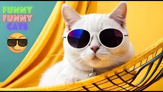 Funny Cat Videos CompilationFunniest Cat Videos in The WorldFunny Cat Videos Try Not To Laugh  #62