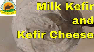 Milk Kefir and Kefir cheese