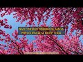 NiziU — Come On Over tradução em português