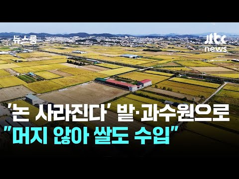 'Rice Paddies Vanishing' Turned into Fields and Orchards… "We May Soon Be Importing Rice" / JTBC ...