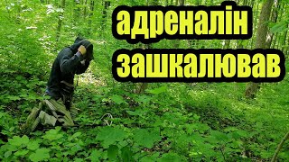 Це був найкращий день із металошукачем, я запам'ятаю на довго. Коп 2024