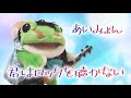 君はロックを聴かない あいみょん フルでうたってみた ケロ美のうたってみた動画 300 君はロックを聴かない あいみょん フルでうたってみた ケロ美のうたってみた動画 300
