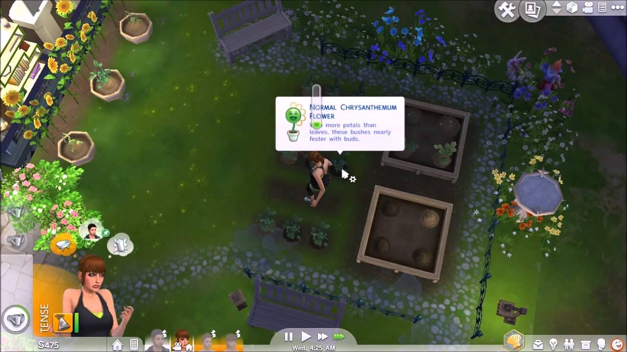 The Sims 4 || Current Household Pt.4 || UniWaleLover - YouTube