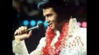 Danny Mirror  - I Remember Elvis Presley.