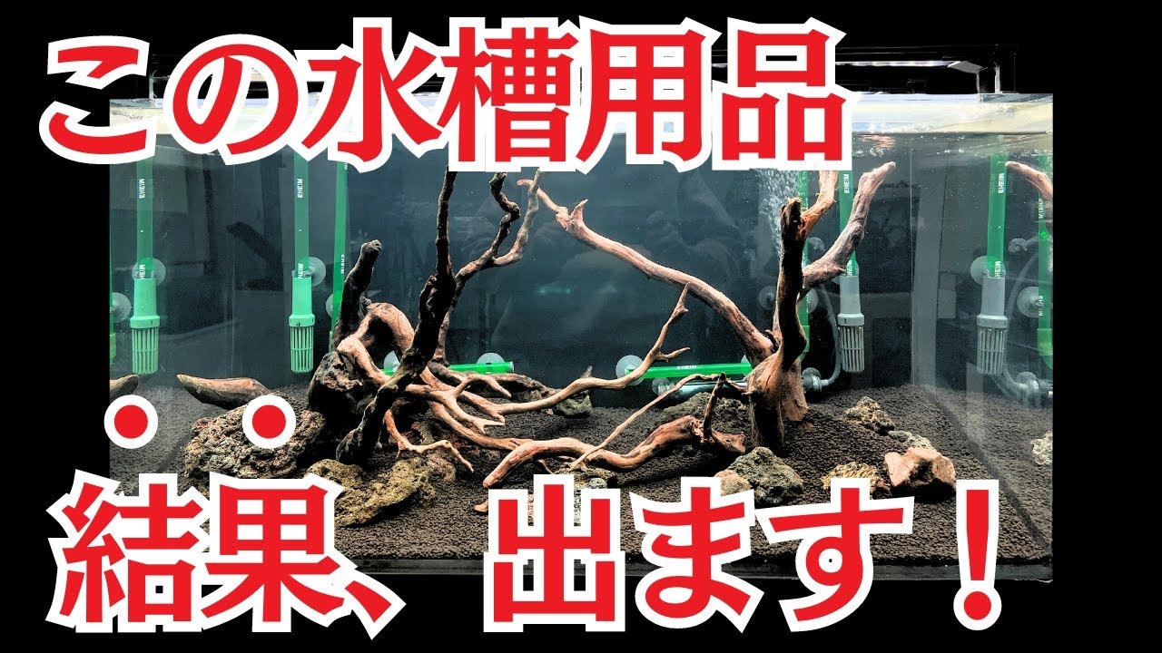 【全部話す】この水槽用品使ったら、圧倒的に効果がありました