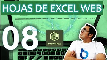Handsontable(8)  - Hoja tipo excel en web (Buscar datos en las celdas)