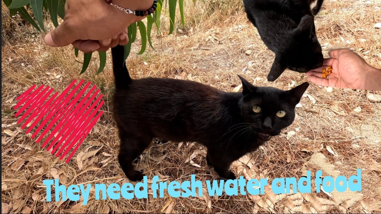 Remember, a small act of kindness can make a big difference in the ...