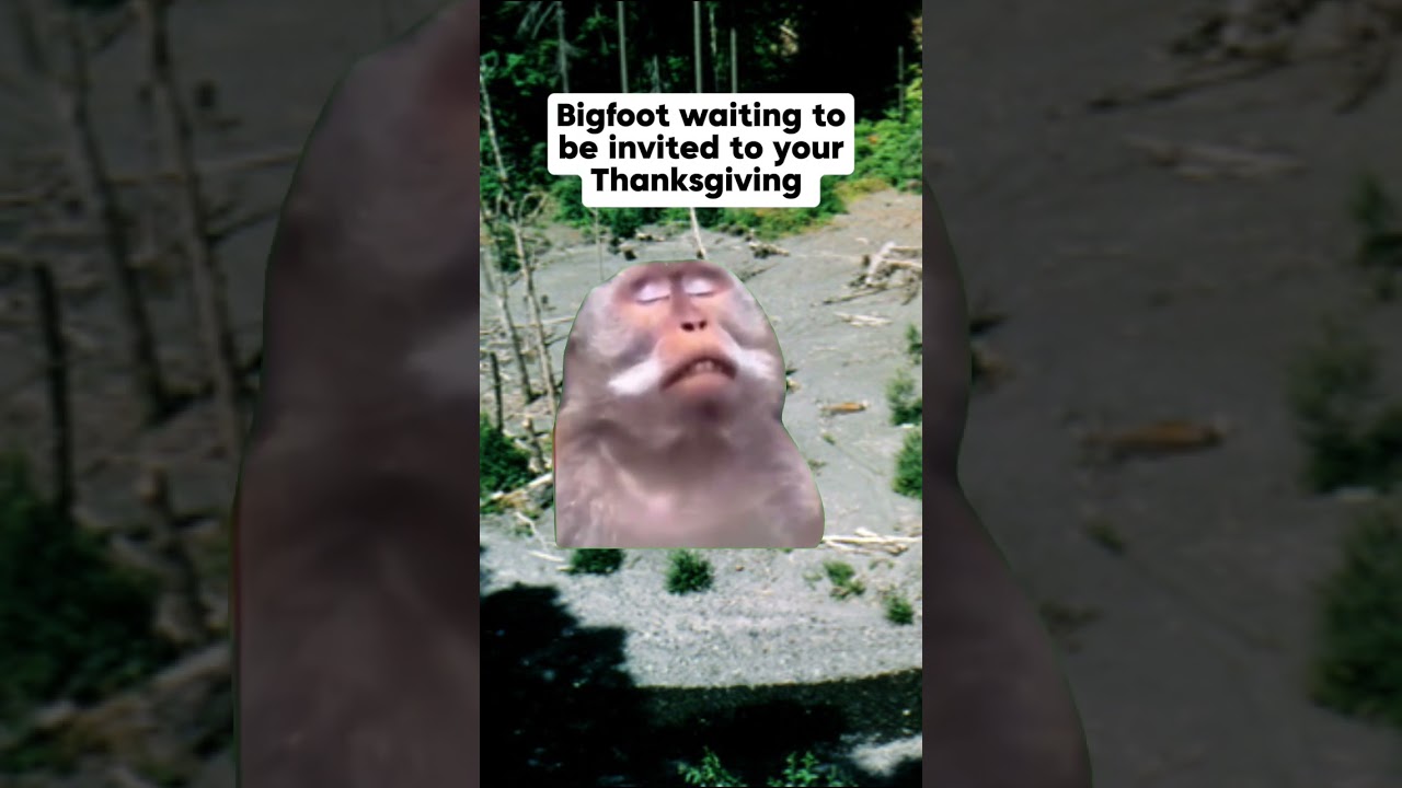 Bigfoot loves the dessert table