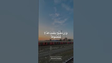القرآن الكريم #القرآن_الكريم #تلاوة_خاشعة #الجزائر #فلسطين