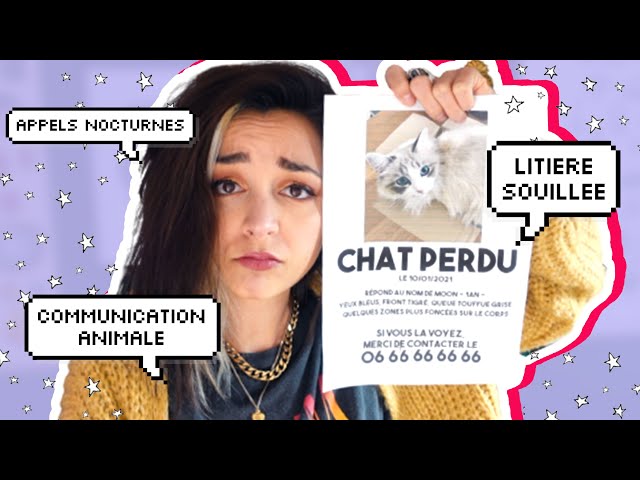 La première fois que j'ai perdu mon chat La première fois que j'ai perdu mon chat La première fois