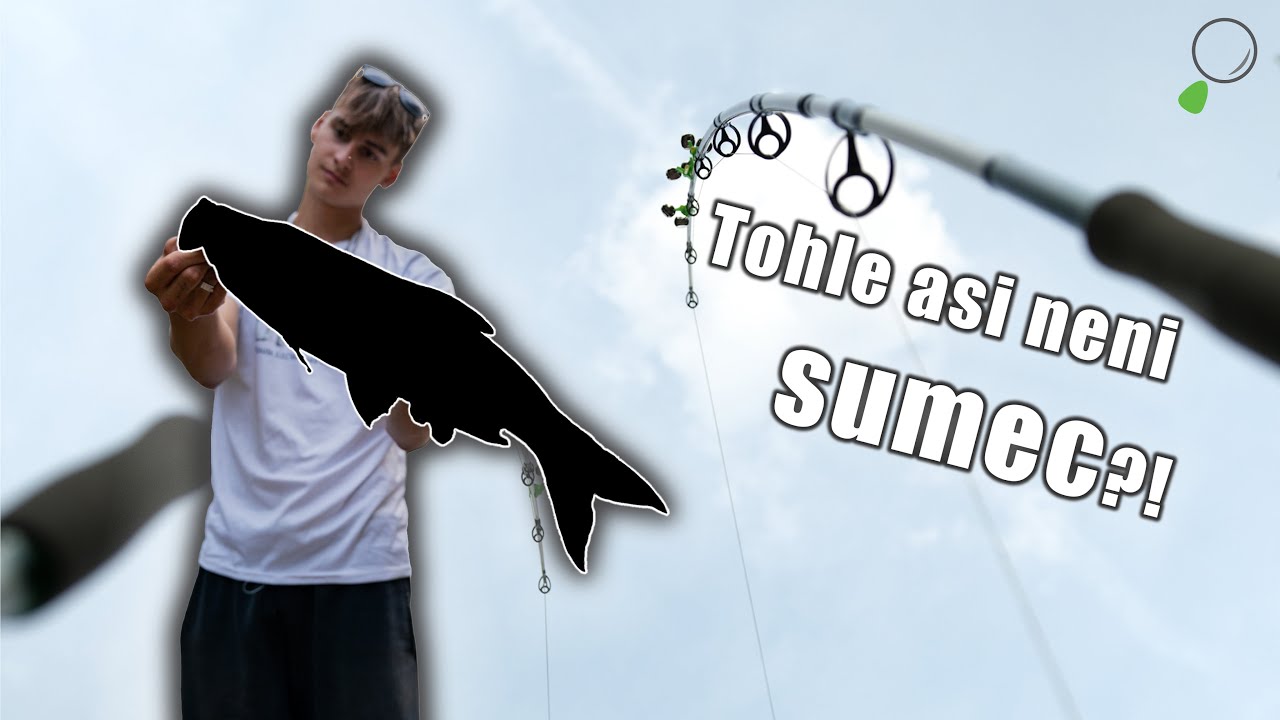 Chytáme Sumce Na Orlíku!? - Lov Sumců Vol. 1