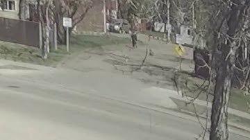 Random Assault Footage