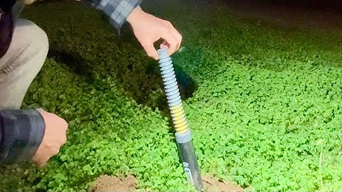 Setting and Getting with the GopherHawk 026 — Trap Set for 11 hours