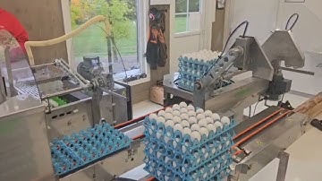 Optipack70 eggpacker with Optistack-pro traystacker