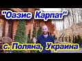 "Оазис Карпат" в с. Поляна, Украина / "Oasis of the Carpathians" in the village Polyana, Ukraine