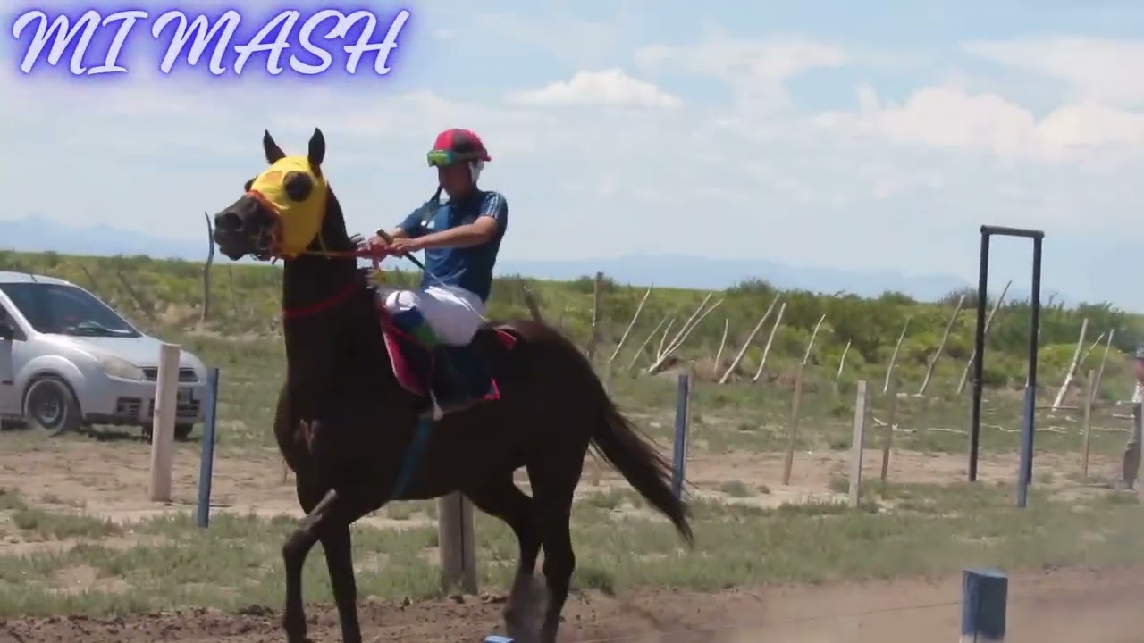 DON DANIEL - DOÑA MIKA - MI MASH