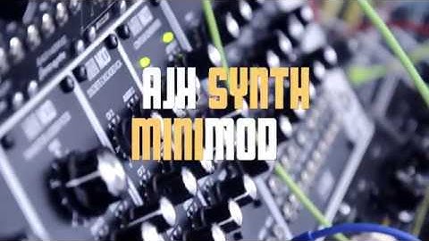 AJH Synth Minimod Voice with delay/VCO/Minimod Transistor Ladder filter/Minimod Contour generators