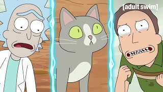 Don't Ask Why the Cat Can Talk | Rick and Morty | adult swim screenshot 4