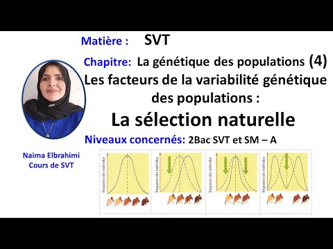 Vidéo: Quels facteurs affectent la sélection naturelle ?
