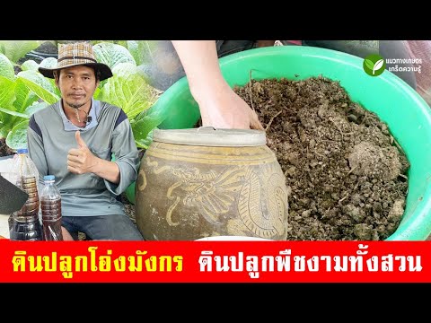 ปุ๋ยหมักใบไม้ ในโอ่งมังกร