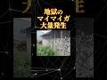 地獄のマイマイガ大量発生 #shorts #雑学 #解説 #一分でわかる