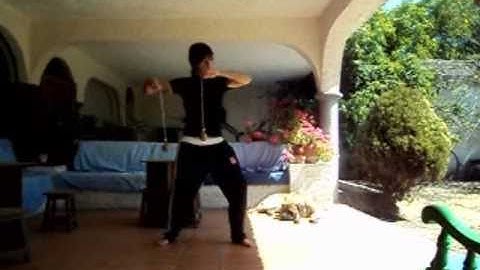 Flow Poi "The Joy of Poi"