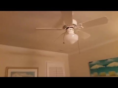 short:-42"-casablanca-lady-delta-ceiling-fan---master-bedroom
