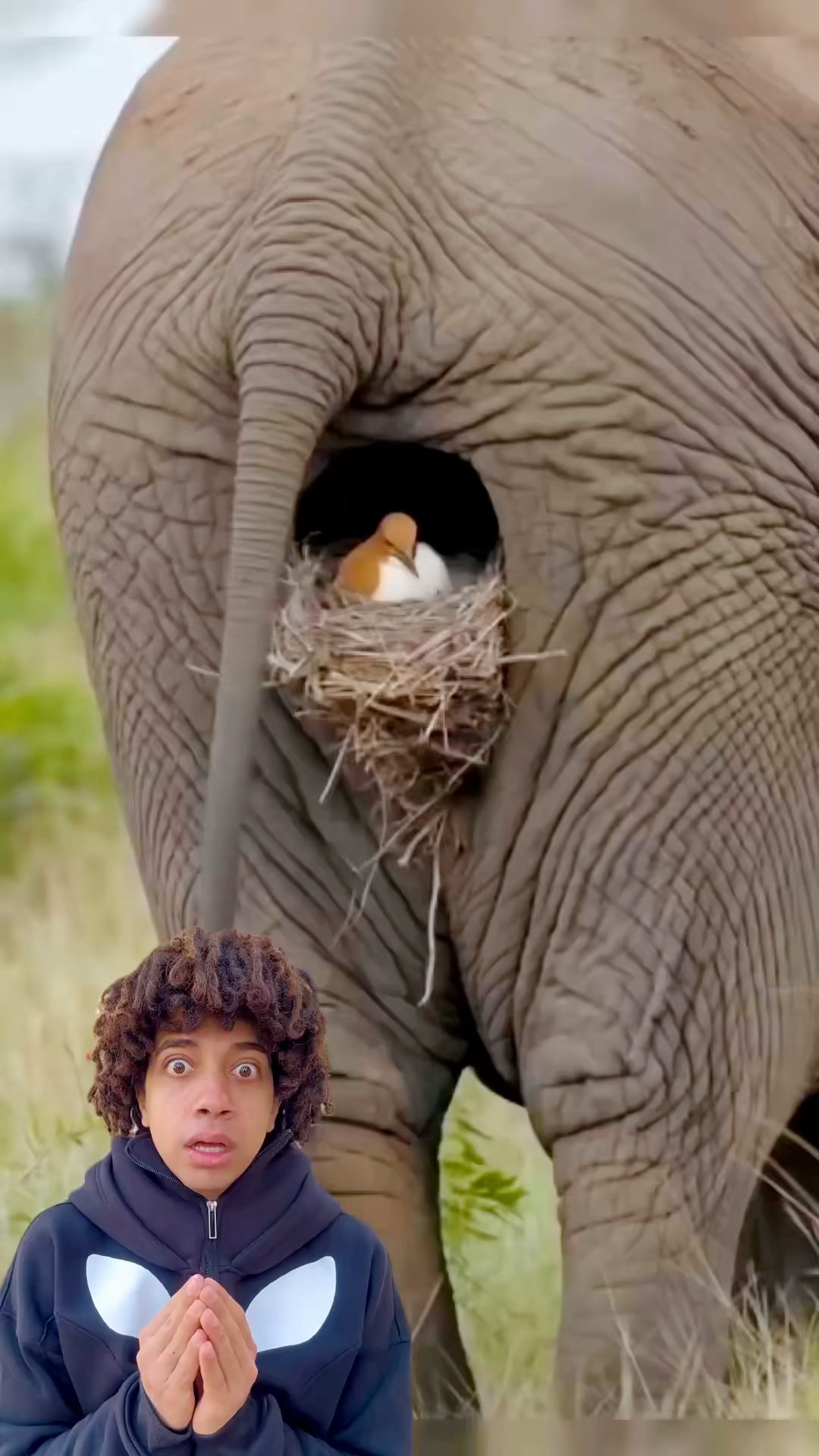 ايه ده ?