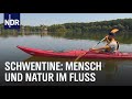 Die Schwentine - Ein Fluss bewegt | die nordstory | NDR Doku