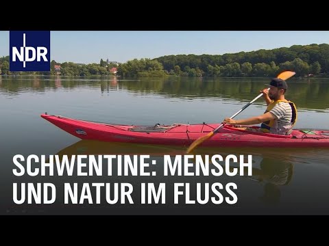 Video: Zwischen Den Bäumen, Am Fluss, Im Boden