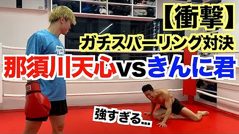 バケット リットル 熱帯の なかやま きん に 君 飴 玉 ゲーム Ryogujo Jp バケット リットル 熱帯の なかやま きん に 君 飴 玉 ゲーム Ryogujo Jp