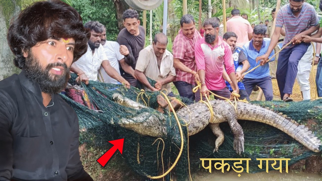 😱गांव की नहर में पकड़ा गया विशालकाय खूंखार मगरमच्छ 😨 गांव में मचा शोर || Murliwale Huasla Rescue