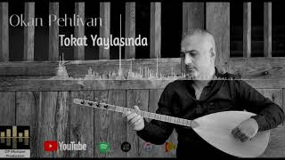 Okan Pehlivan  / Tokat Yaylasında ( © 2021 Okan Pehlivan Production ) Resimi