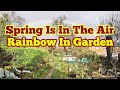 Rainbow in garden spring is in the air in hertfordshire allotment life