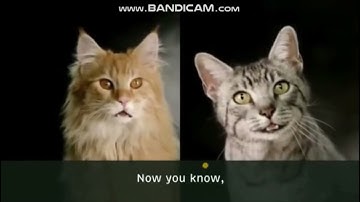 (TCPMV) Meow Mix Tender Centers Scan Low Battery