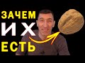 Зачем включать в свой рацион Эти орехи?