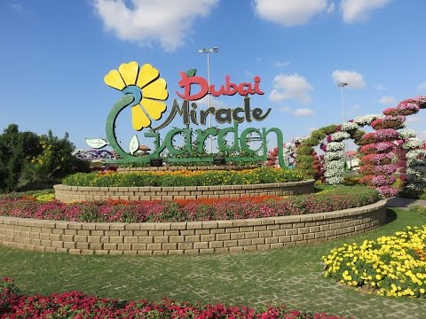 Inside Dubai Miracle Garden 2015-2016